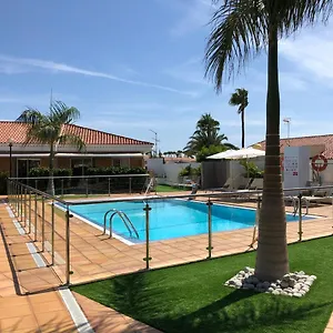 Leones Maspalomas (Gran Canaria)